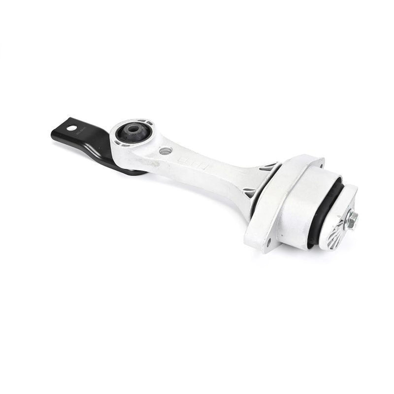 Delphi Engine Mount Mounting Rear TEM260