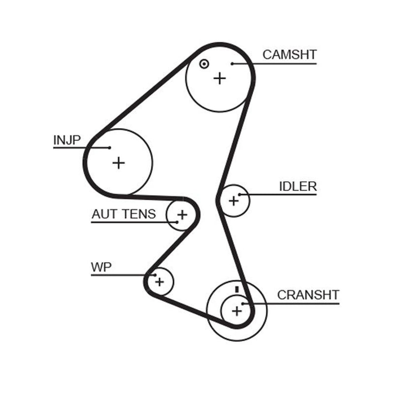 Gates Timing Belt Cambelt 137 Teeth 5598XS