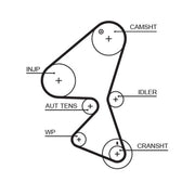 Gates Timing Belt & Water Pump Kit KP15598XS