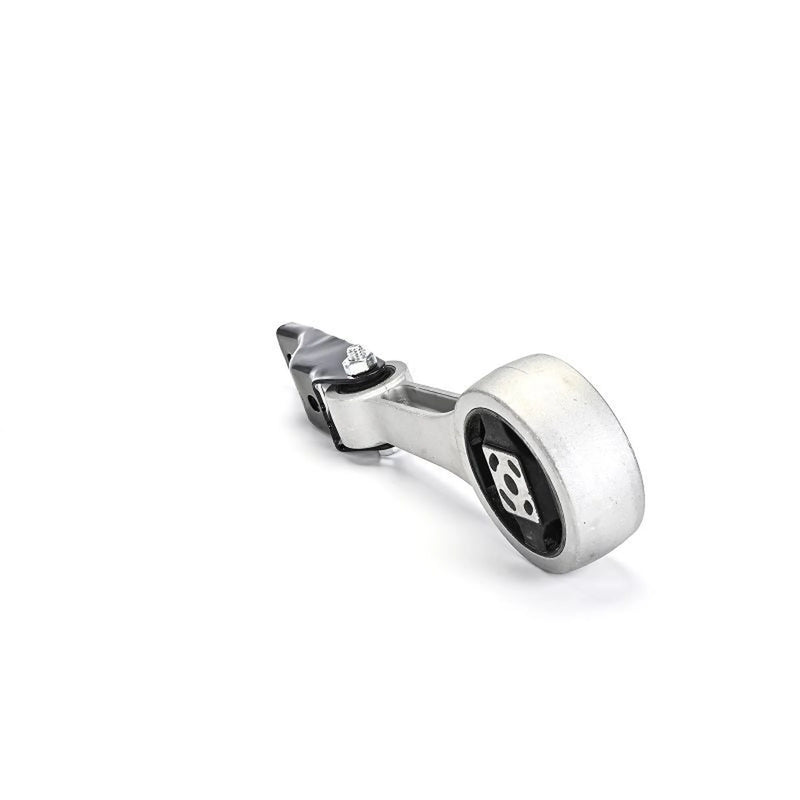Delphi Engine Mount Mounting Rear TEM283