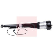 Apec Air Suspension Strut Shock AAS1102