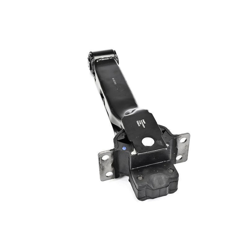 Delphi Engine Mount Mounting Rear TEM243