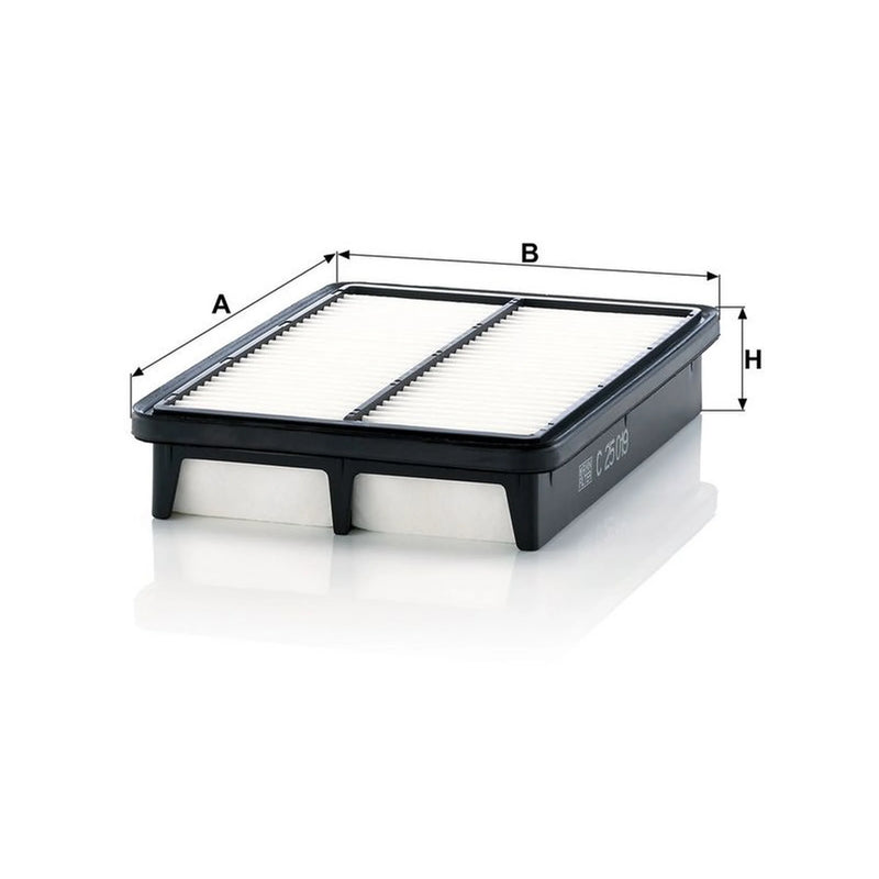 MANN-FILTER Engine Air Filter C 25 019