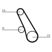 Continental CTAM Timing Belt Kit with Rollers CT1109K1