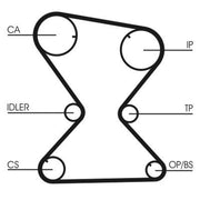 Continental CTAM Timing Belt Cambelt 158 Teeth CT842