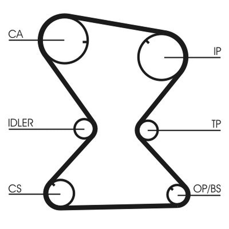 Continental CTAM Timing Belt Cambelt 158 Teeth CT842