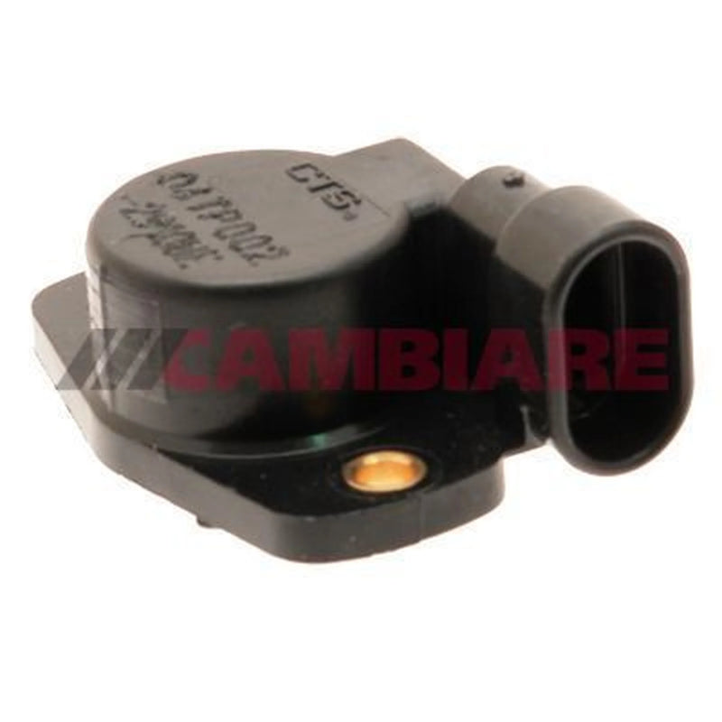 Cambiare Throttle Position Sensor VE378003