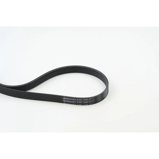 Continental CTAM Multi V-Ribbed Drive Belt 6PK1244