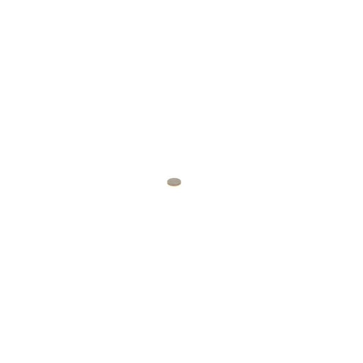 Bosch Flat Washer Shim ID OD 1 410 067 145
