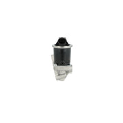 NRF Exhaust Gas Recirculation Valve 48629