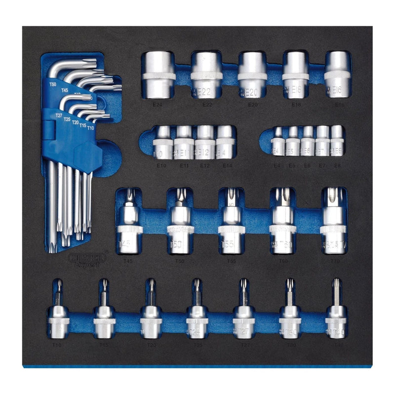 Draper TX-STAR Screwdriver Insert Bits and Keys in 1/2 Drawer EVA Insert Tray (3 Draper  - Town Parts