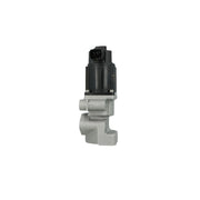 NRF Exhaust Gas Recirculation Valve 48675