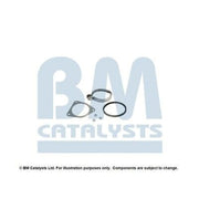BM Catalysts Fitting Kit FK11650C FK11650C