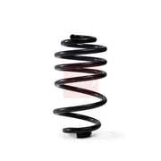 Apec Rear Suspension Coil Spring ACS2294
