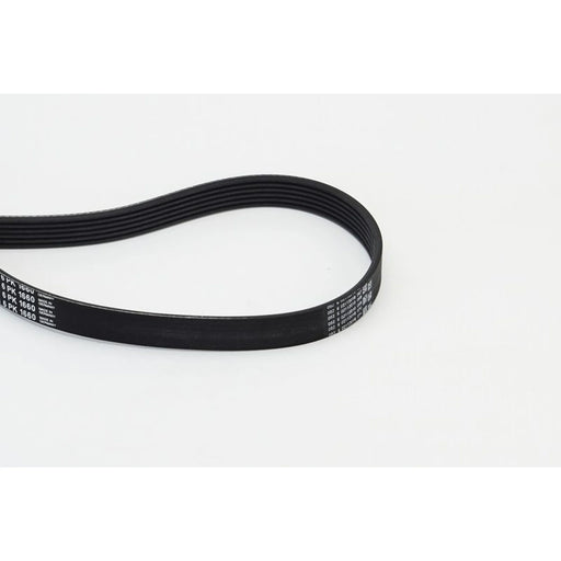 Continental CTAM Multi V-Ribbed Drive Belt 6PK1660