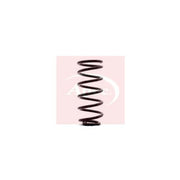 Apec Rear Suspension Coil Spring ACS1355