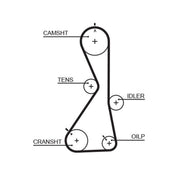 Gates Timing Belt Cambelt 122 Teeth 5481XS