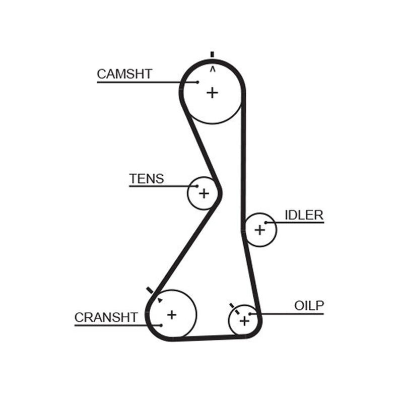 Gates Timing Belt Cambelt 122 Teeth 5481XS