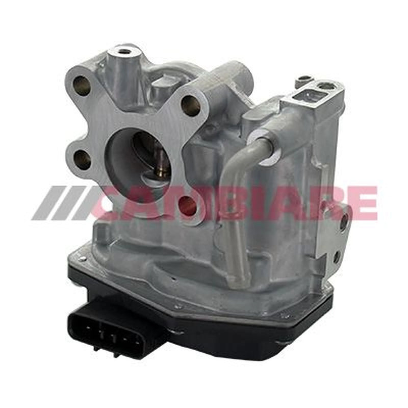 Cambiare Exhaust Gas Recirculation Valve VE360334