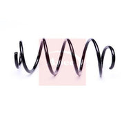 Apec Front Suspension Coil Spring ACS2219