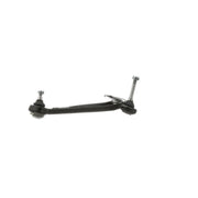 Delphi Control/Trailing Arm Lower TC552