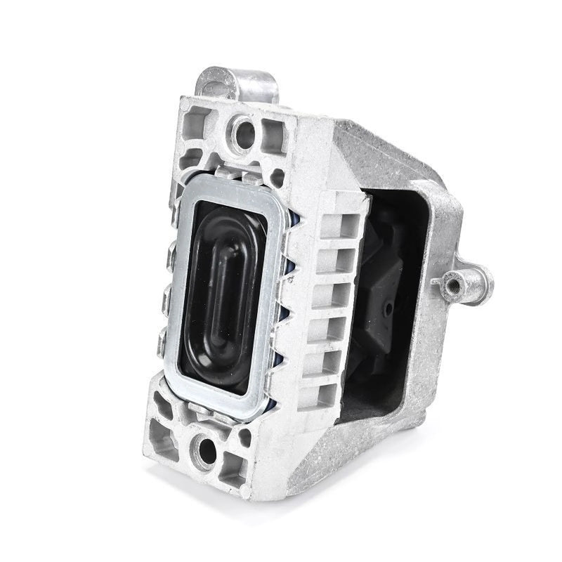 Delphi Engine Mount Mounting Right TEM273