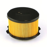 Delphi Fuel Filter Element HDF514