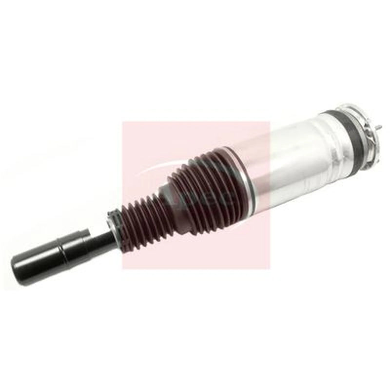 Apec Air Suspension Strut Shock AAS1131