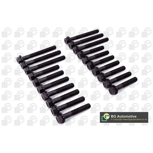 BGA Cylinder Head Bolt Set M11 BK5325