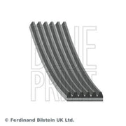 Blue Print Multi V-Ribbed Drive Belt AD06R1036