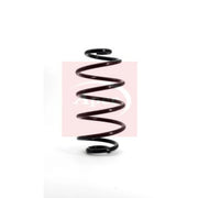 Apec Rear Suspension Coil Spring ACS1152