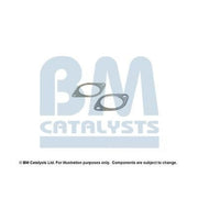 BM Catalysts Fitting Kit FK11149A FK11149A