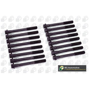 BGA Cylinder Head Bolt Set M11 BK5330