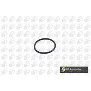 BGA Vacuum Pump Gasket AG0670