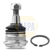 NAPA Ball Joint Front Right NST0183