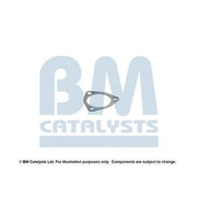 BM Catalysts Fitting Kit FK80265A FK80265A