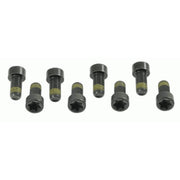 Sachs Dmf Screw Set (Special Order) 1874000006