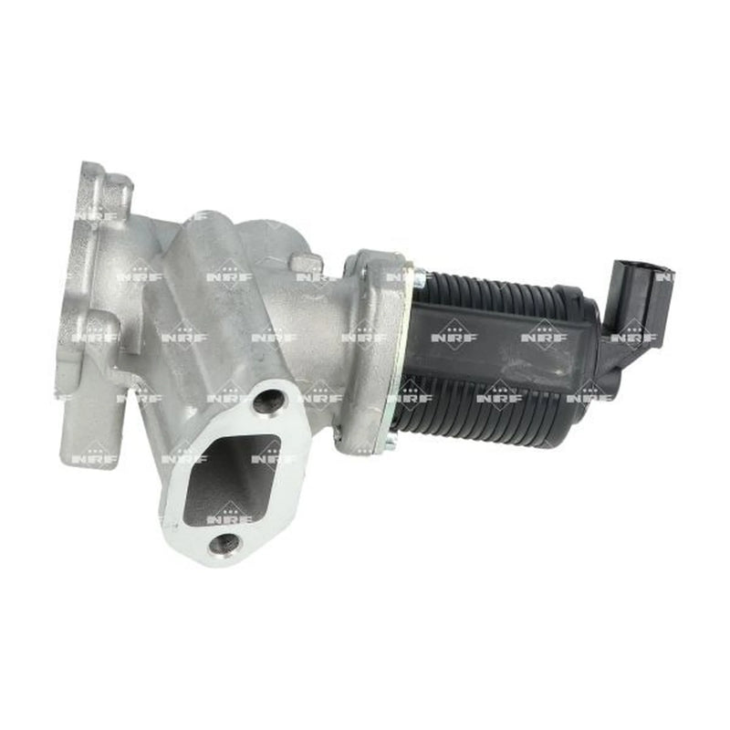 NRF Exhaust Gas Recirculation Valve 48325