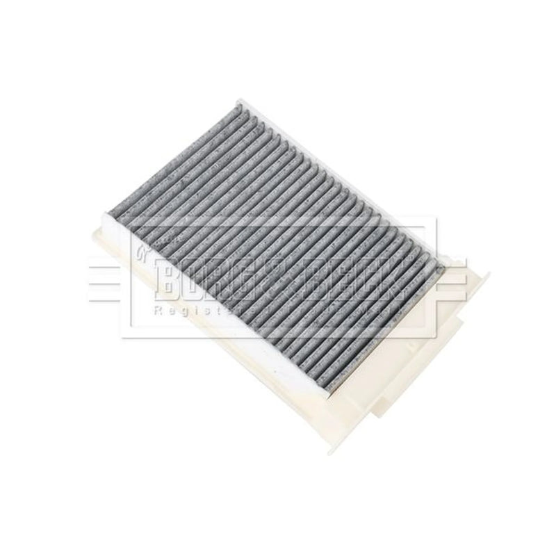 Borg & Beck Cabin Air Filter (Pollen Filter) BFC1373