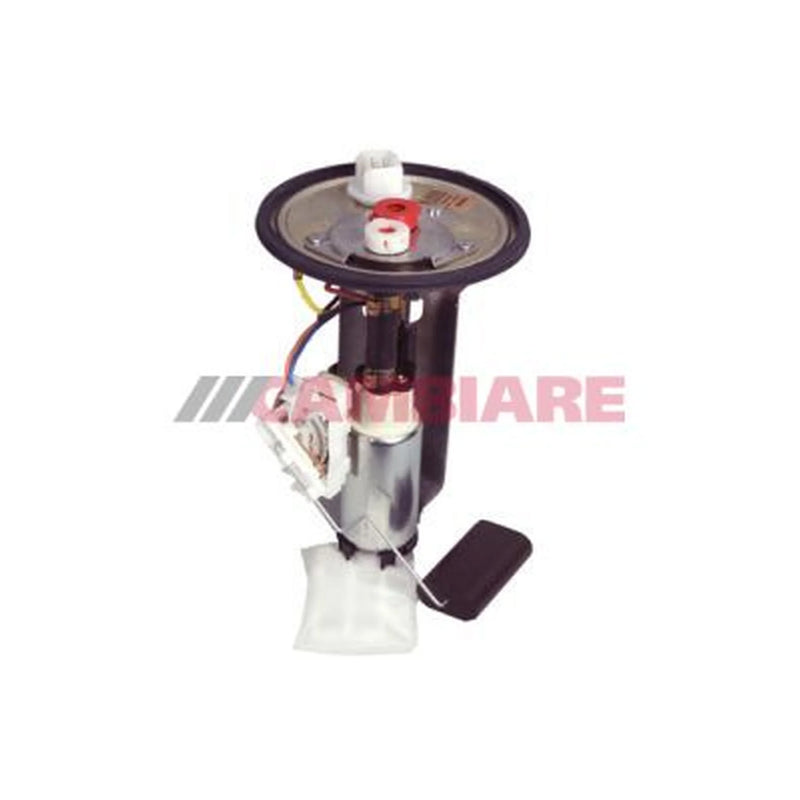 Cambiare Fuel Tank Sender Unit in the fuel tank VE523047