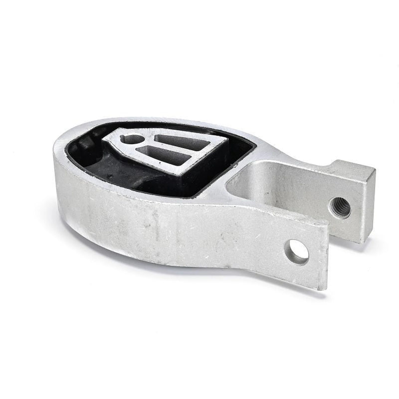 Delphi Engine Mount Mounting Rear TEM250
