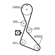 Gates Timing Belt Cambelt 127 Teeth 5370XS