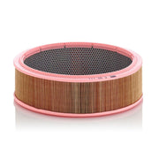 MANN-FILTER Engine Air Filter C 35 111