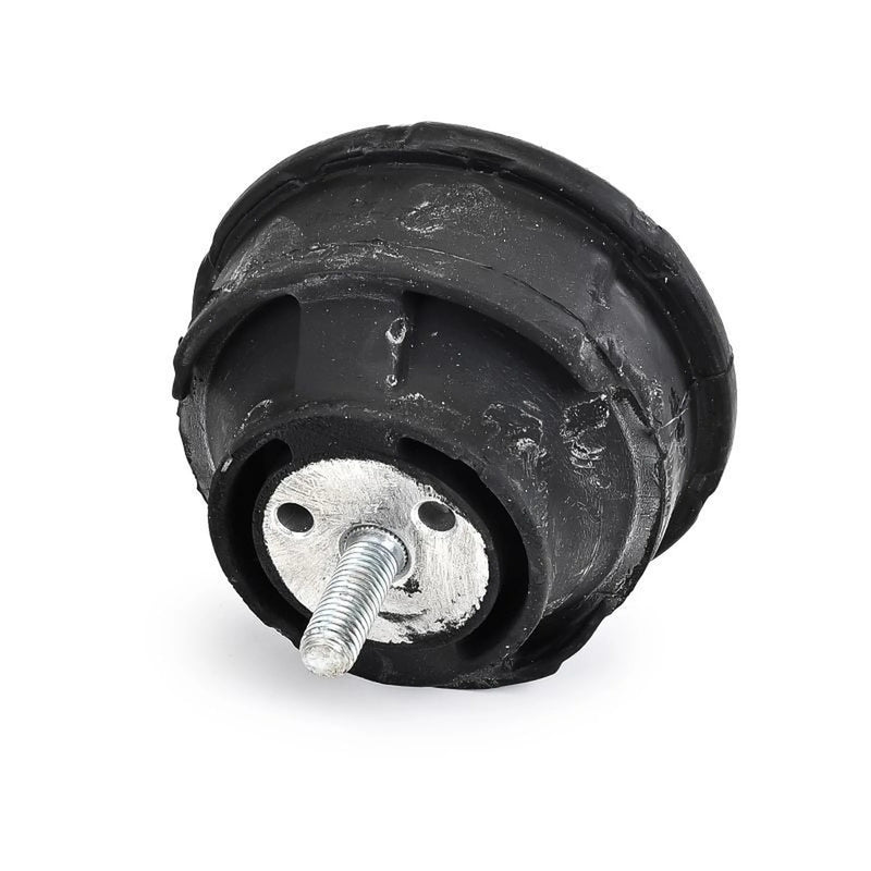 Delphi Engine Mount Mounting both sides TEM127