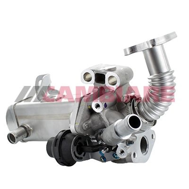 Cambiare EGR Exhaust Gas Recirculation Module VE360333