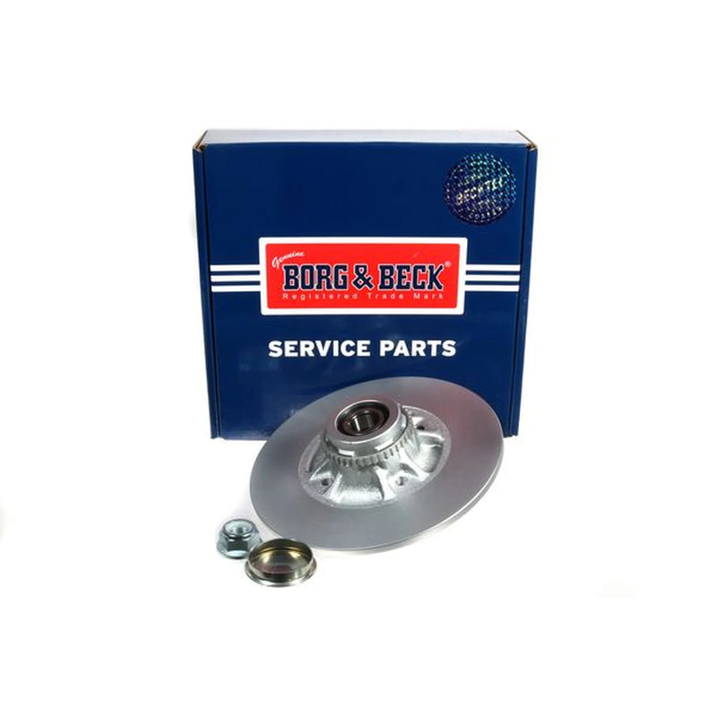 Borg & Beck 2 x Solid Rear Brake Discs BBD5939S-x2