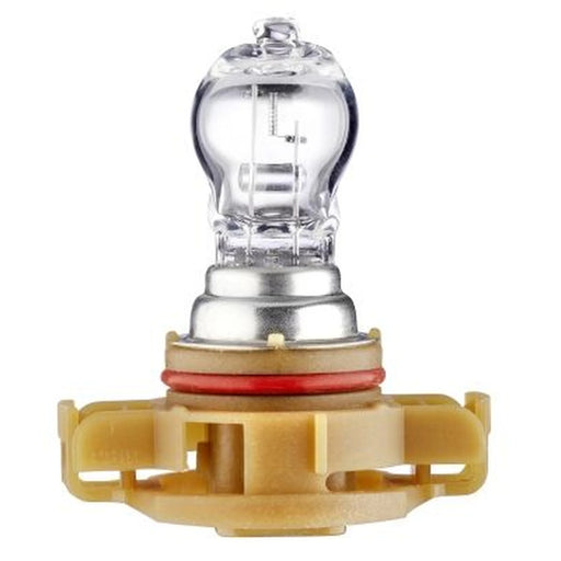Hella Rear Fog Light Bulb PG20/1 12V 19W 8GA 223 569-021