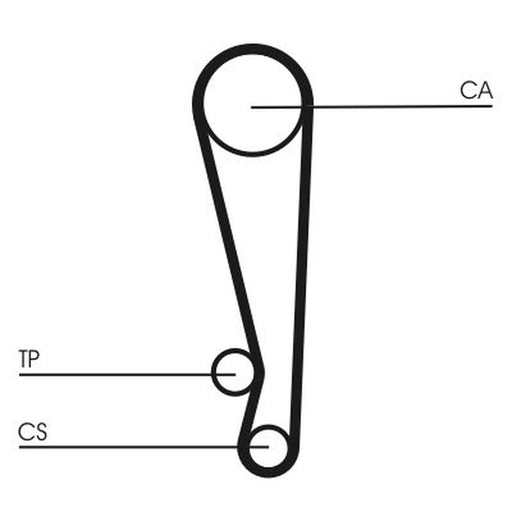 Continental CTAM Timing Belt Cambelt 107 Teeth CT1024