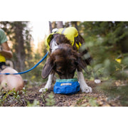 Ruffwear Trail Runner Ultralight Dog Bowl in Blue Pool - Ruffwear - Van Life Living