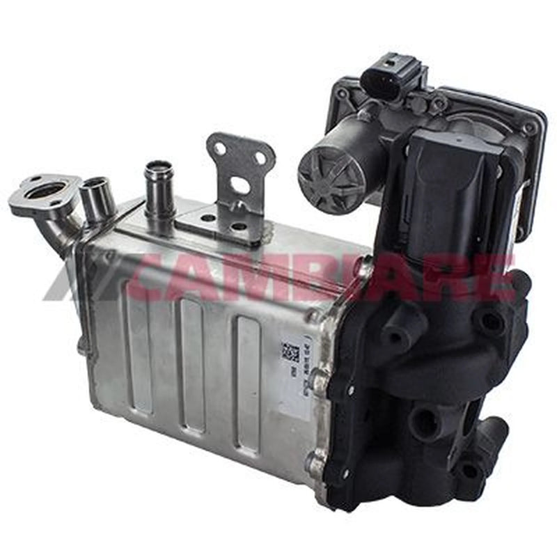 Cambiare EGR Exhaust Gas Recirculation Module VE360263